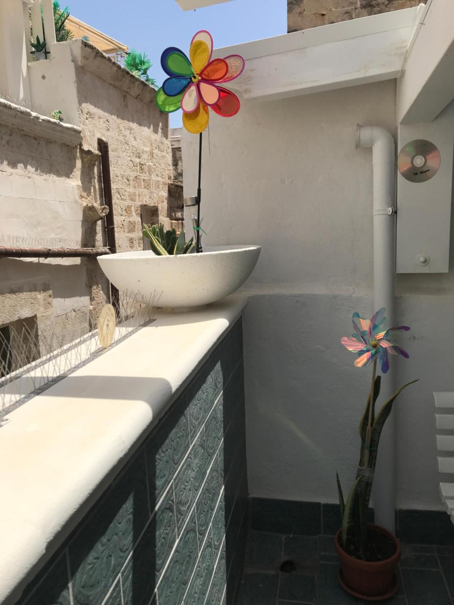 Appartement Dimora Nel Vico à Monopoli Extérieur photo